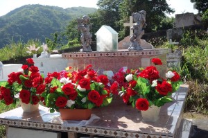 Taboga cemetery red flowers