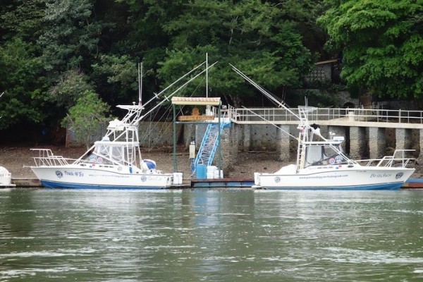 2 sport fishing boats at the weighing station Boca Chica Panama