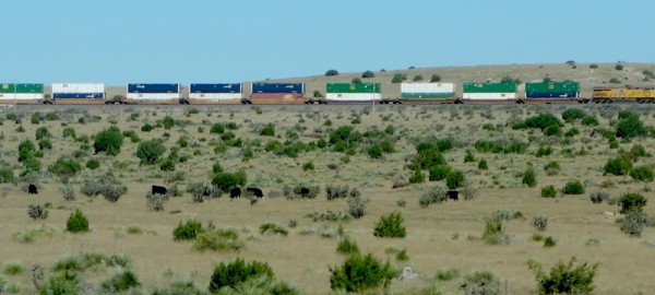 Lots of trains travel across the high plains.