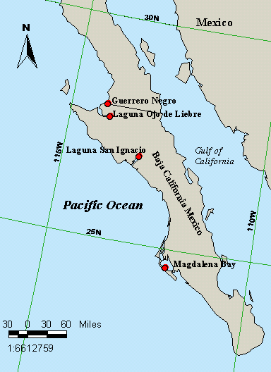 map of Baja California with 4 lagoons marked in red